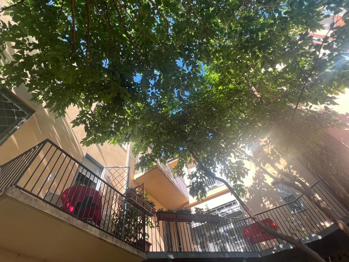 Casa Roma Rooms& Apartmens Padova Eksteriør billede